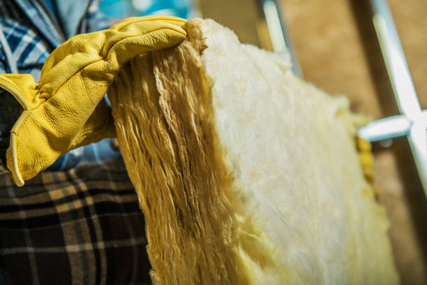 Best Insulation for Specific Applications in Panacea, FL