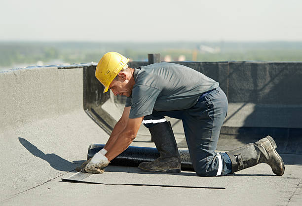 Professional Insulation Contractor in Panacea, FL