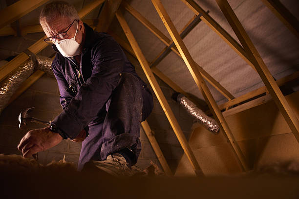 Professional Insulation Contractor in Panacea, FL