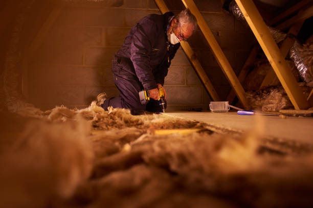 Best Blown-in Insulation in Panacea, FL